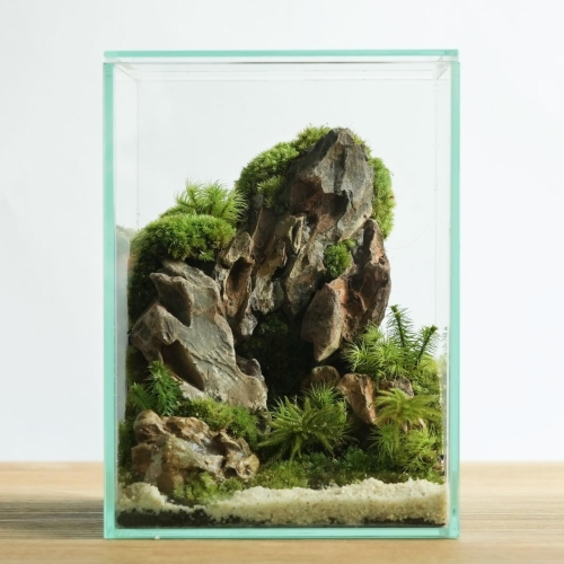 シカク箱庭