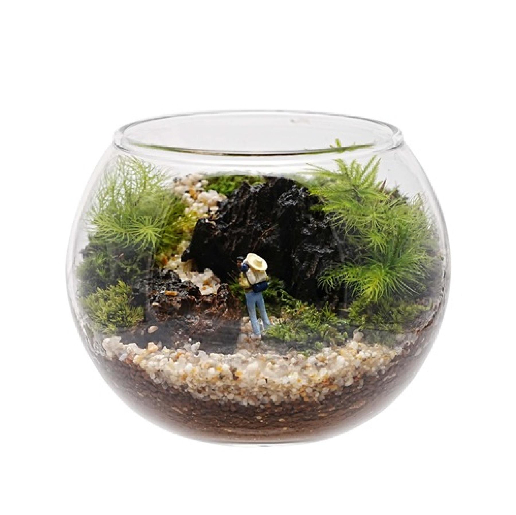 苔のテラリウムボウルＭ