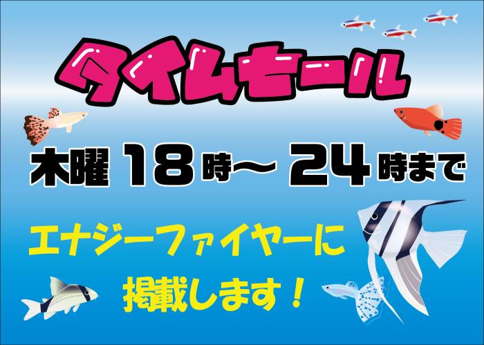 【タイムセール開催！】