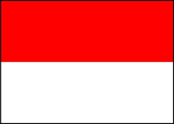 インドネシア便入荷情報