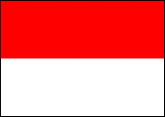 インドネシア便入荷情報