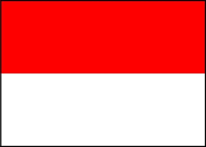 インドネシア便入荷情報　※18日19時追記