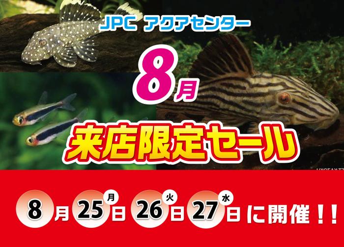 来店限定セール！
