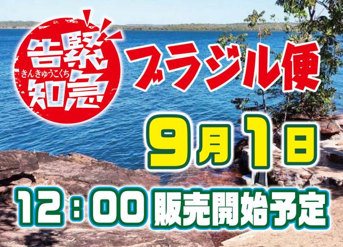 ブラジル便販売開始！8月25日