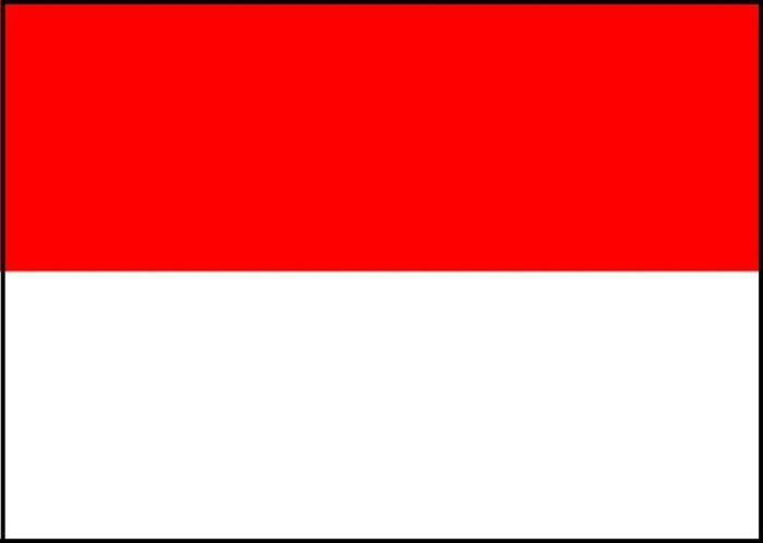 インドネシア便入荷情報