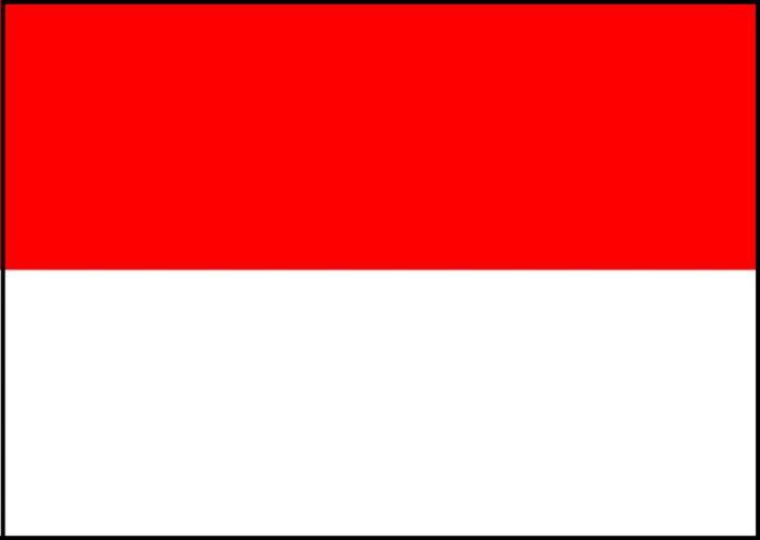 インドネシア便新入荷情報