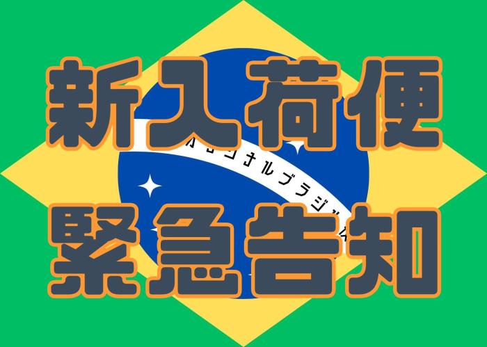 緊急告知！！ブラジル便入荷しました！！