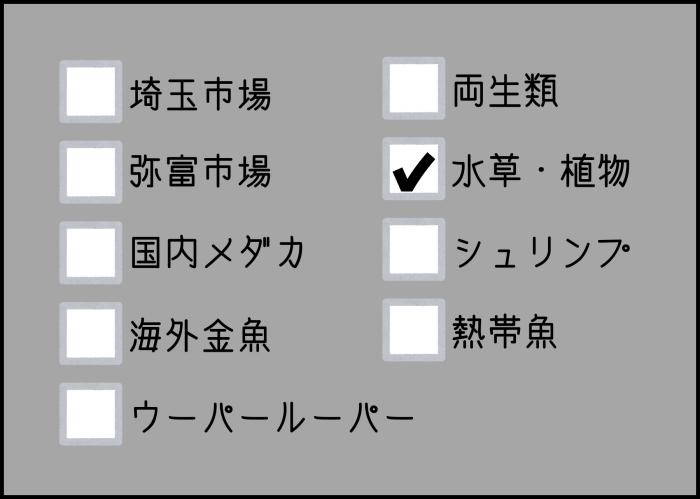 水草入荷情報