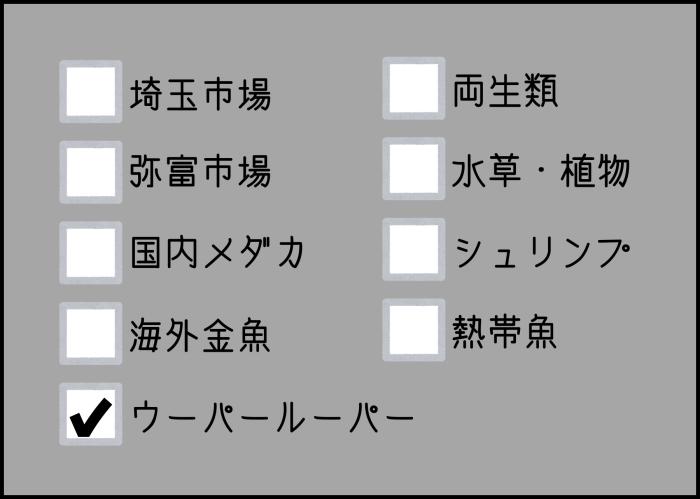 ウーパールーパー入荷情報