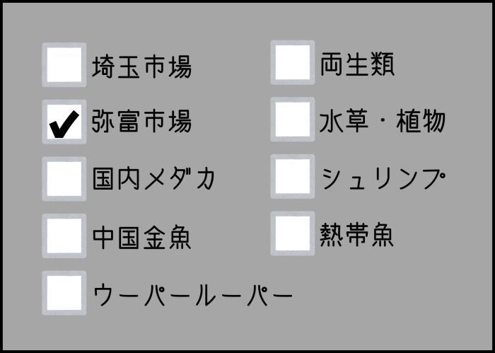 国内便入荷情報