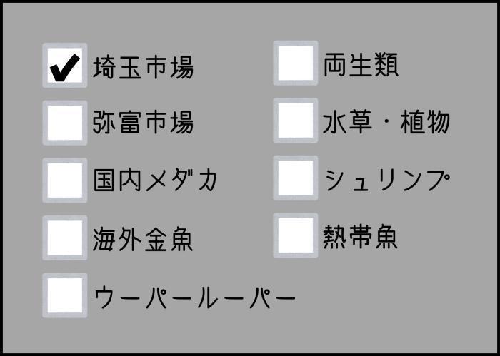 国内便新入荷情報
