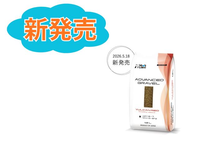 新商品発売！！！