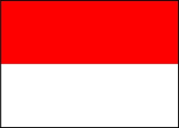 インドネシア便入荷情報