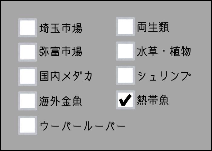 国内便入荷情報