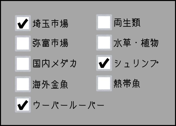 国内便入荷情報  メダカ大特価セール中！！
