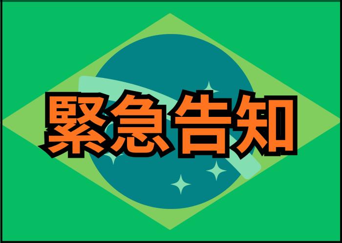 ★緊急告知★　ブラジル便入荷しました♪