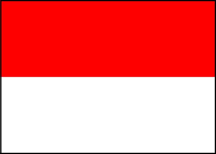 インドネシア便　新入荷情報